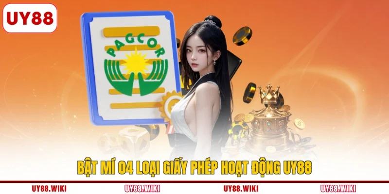 Bật mí 04 loại giấy phép hoạt động UY88